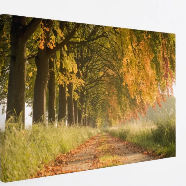 Saammp Canvas Schilderij - Bospad - Nederland - Landschap - Natuur - 150x100 - Foto op canvas - Wanddecoratie - Muurdecoratie Woonkamer - Slaapkamer decoratie - Canvas Print Multicolor