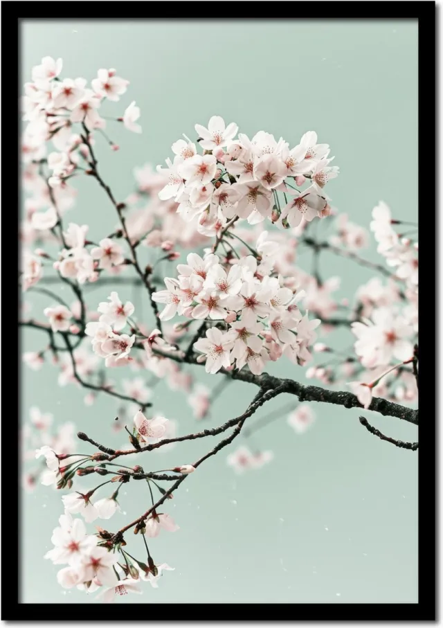 Plakkers Poster van een bloeiende bloesemtak - 21cm x 30cm a4 - vintage - woonkamer - slaapkamer - bloemen posters - goedkoop - muurposter - natuur - wanddecoratie Full-colour