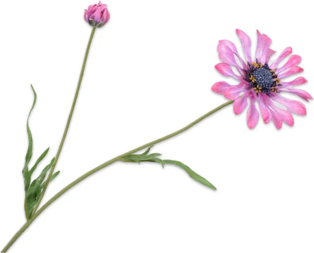 Silk-ka Kunstbloem-Zijden Bloem Margriet Steel Roze-Paars 19 cm Voordeelaanbod Per 2 Stuks