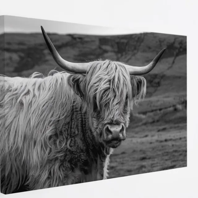 Saammp Canvas Schilderij - Schotse Hooglander Koe in de wei - Zwart-Wit - Dieren - Portret - 100x75 - Foto op canvas - Wanddecoratie - muurdecoratie Woonkamer - Slaapkamer decoratie - Canvas Print Multicolor