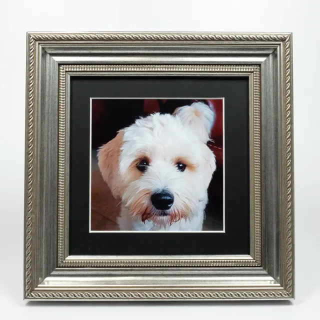 Alle lijsten AL - Barok Fotolijst Met Zwart Passe-Partout - 25 x 25 cm