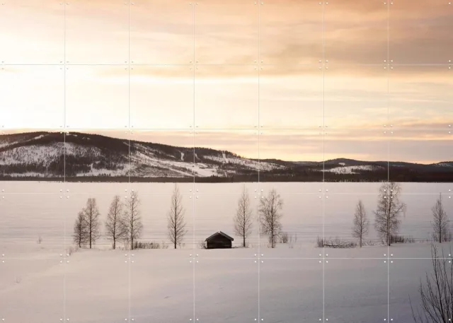 IXXI Frozen World, Claire Droppert - 140 x 100 cm - Grote wanddecoratie en posters - Realisme, Minimalisme, Naturalisme, Fotografie, Studeerkamer Wit / Blauw / Grijs