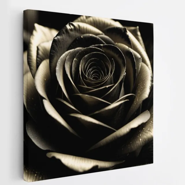 Saammp Canvas Schilderij - Elegante Zwarte Roos - Natuur - Modern - 40x40 - Foto op canvas - Wanddecoratie - Muurdecoratie Woonkamer - Kantoor Decoratie Multicolor
