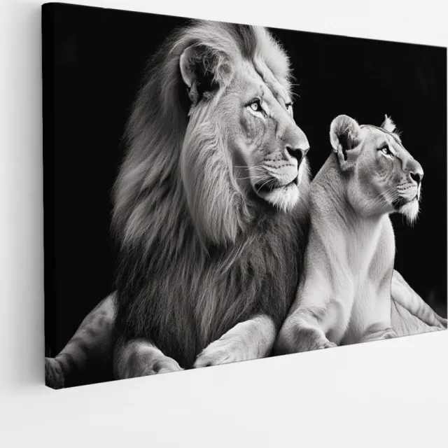 Saammp Canvas Schilderij - Zwart-wit - Leeuw - Leeuwin - Dieren - Natuur - 45x30 - Foto op canvas - Wanddecoratie - Muurdecoratie Woonkamer - Slaapkamer decoratie - Canvas Print Multicolor