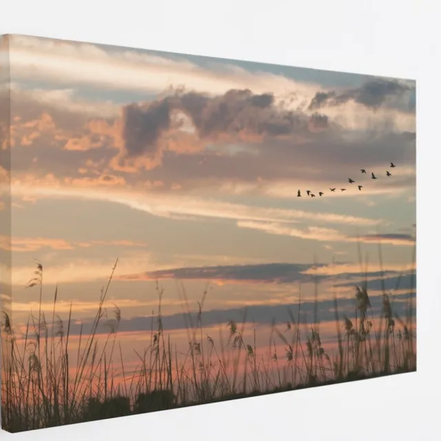 Saammp Canvas Schilderij -Vogels tijdens Golden hour - Zonsondergang - Landschap - Natuur - 100x75 - Foto op canvas - Wanddecoratie - Muurdecoratie Woonkamer - Slaapkamer decoratie - Canvas Print Multicolor