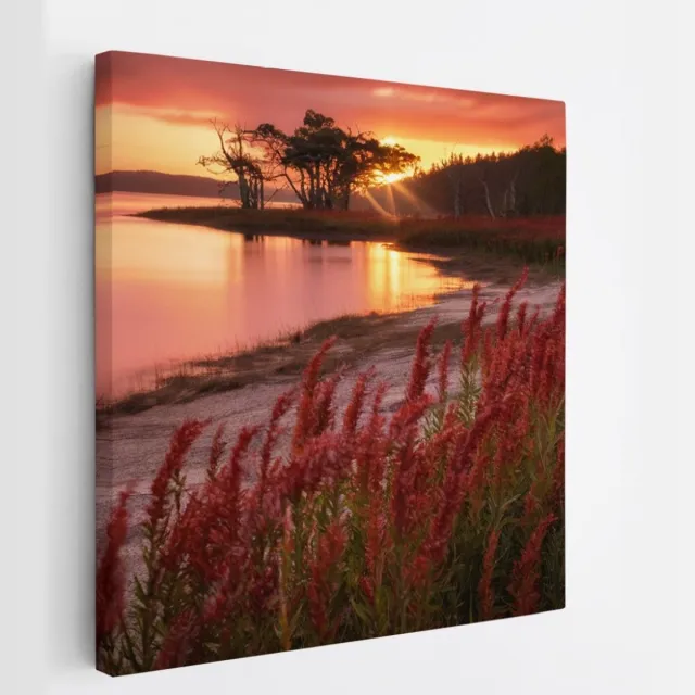 Saammp Canvas Schilderij - Rode Planten - Landschap - Zon - Bloemen - Natuur - 40x40 - Foto op canvas - Wanddecoratie - Muurdecoratie Woonkamer - Slaapkamer decoratie - Canvas Print Multicolor