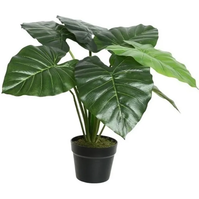 Bellatio Flowers & Plants Groene Colocasia/taro kunstplant 52 cm in zwarte pot - Kunstplanten/nepplanten - Kantoorplanten