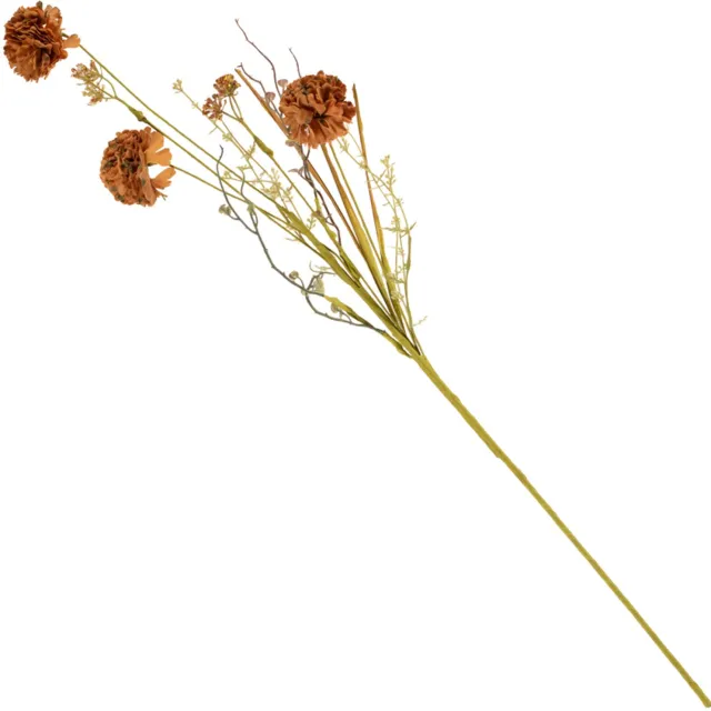 homebound by ky Veldboeket craspedia 74cm bruin