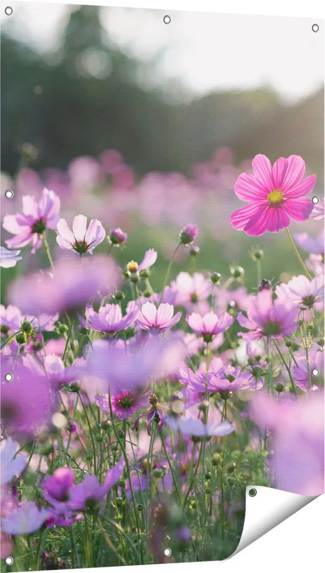 Gards Tuinposter Bloemenveld met Paarse Kosmos - 80x120 cm - Tuindoek - Tuindecoratie - Wanddecoratie buiten - Tuinschilderij Multikleur