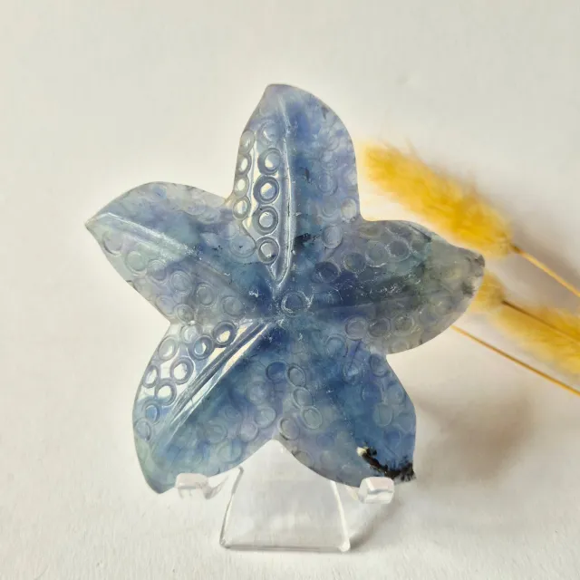 Moonlight Gemstones Regenboog Fluoriet Zeester Carving – ca. 10 cm #3 Meerkleurig