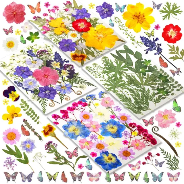 Famanu Geperste bloemen, set van 120 kleurrijke gedroogde bloemen voor knutselen en decoratie