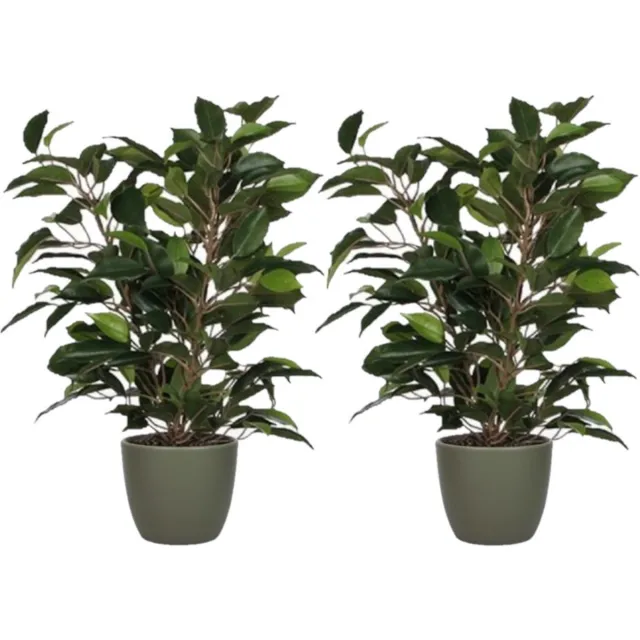 Mica Decorations 2x stuks groene ficus kunstplant 40 cm met plantenpot dennengroen D13.5 en H12.5 cm