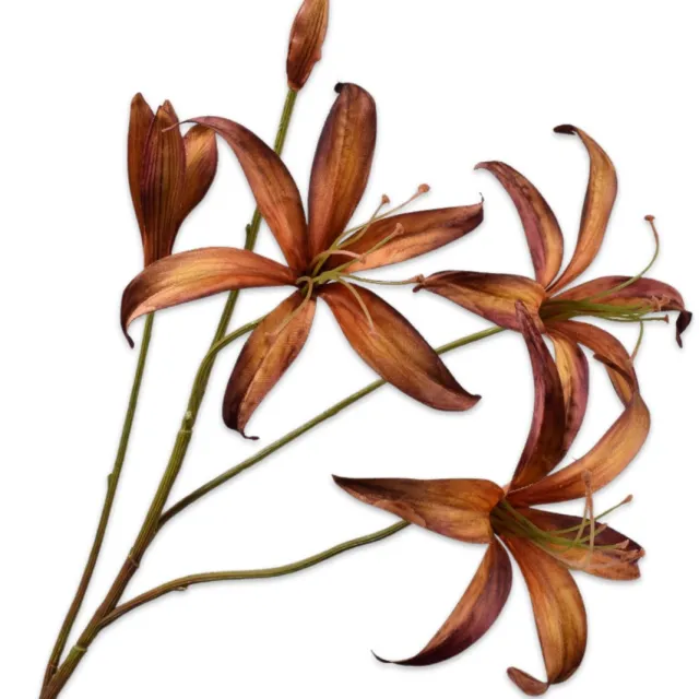 Silk-ka Lelie tak bruin/groen 80 cm