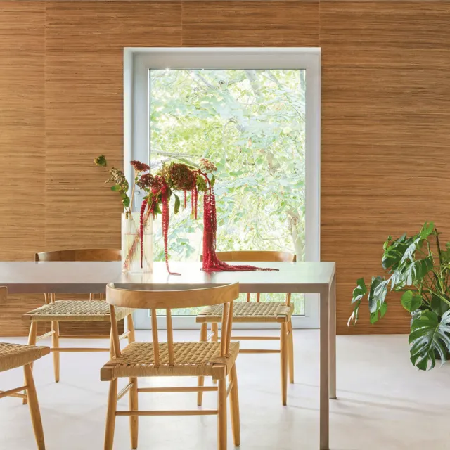 Arte International Aesthetic