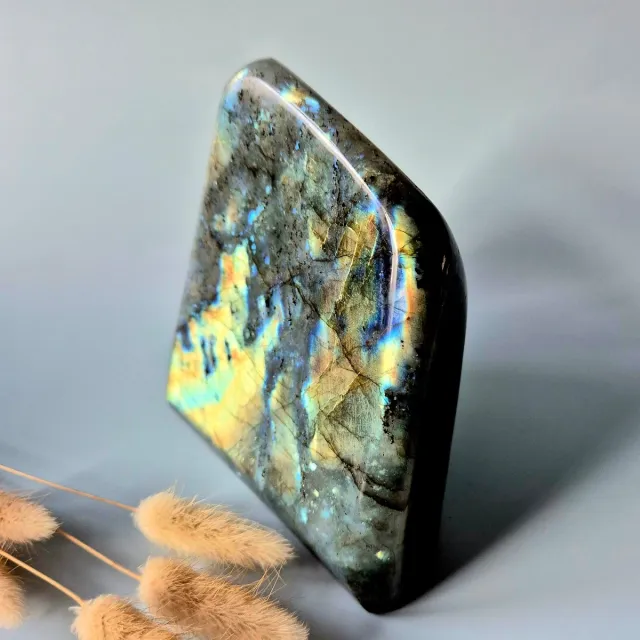 Moonlight Gemstones XXL Labradoriet Freeform van 1465g – Intense Flash & Spirituele Bescherming Marineblauw