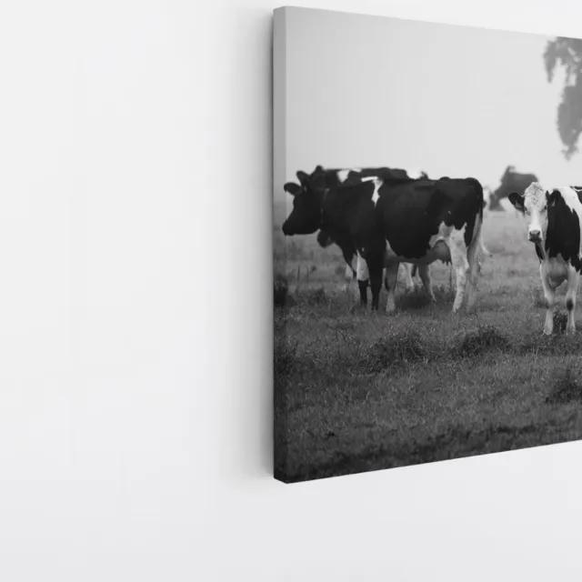 Saammp Canvas Schilderij - Koeien in wei - Natuur - Dieren - 40x40 - Foto op canvas - Wanddecoratie - Muurdecoratie Woonkamer - Slaapkamer decoratie - Canvas Print Multicolor