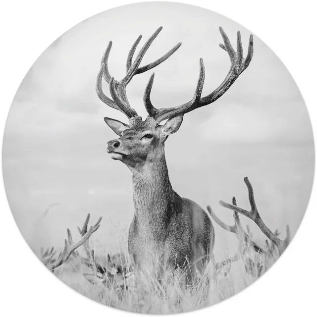 Reinders Plexiglasschilderij Trots hert - Ø 50 - Acrylglas - REINDERS