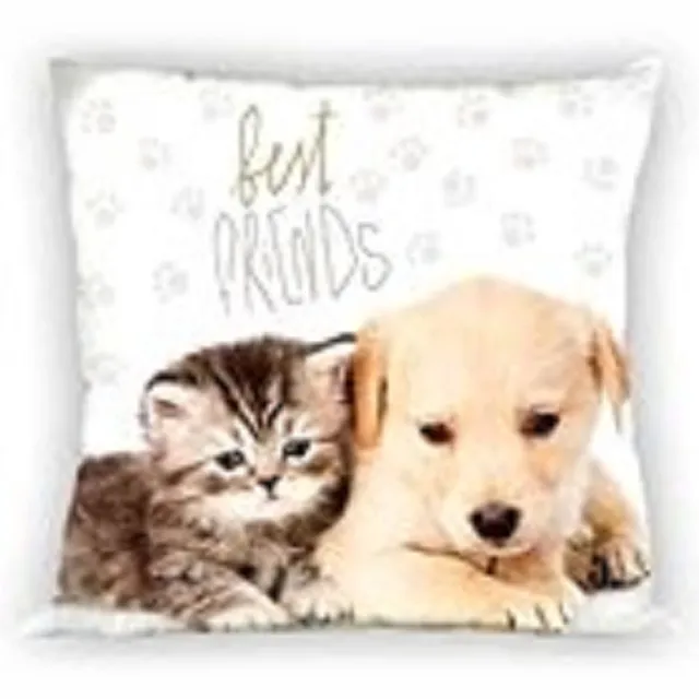 Faro Sierkussen - Best Friends - 40 x 40 cm- allee hoes Wit