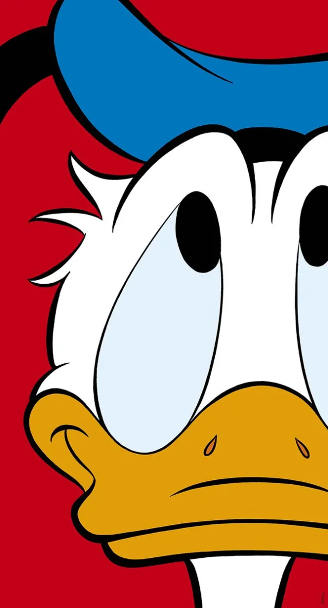 Disney Donald Duck Poster - Donald Multi