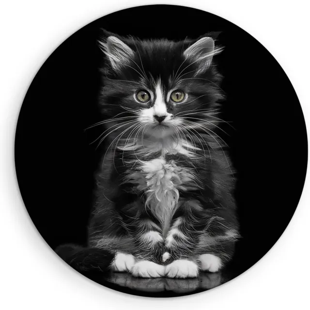 Saammp Muurcirkel Hout - Kat - Portret - Dieren - Ø 50 - Wandcirkel - Wanddecoratie Cirkel - Muurdecoratie Woonkamer - Slaapkamer decoratie - Rond Schilderij