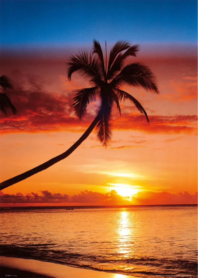 Posterpoint Strand poster - zee - tropisch -palm - vakantie - 61 x 91.5 cm Multi