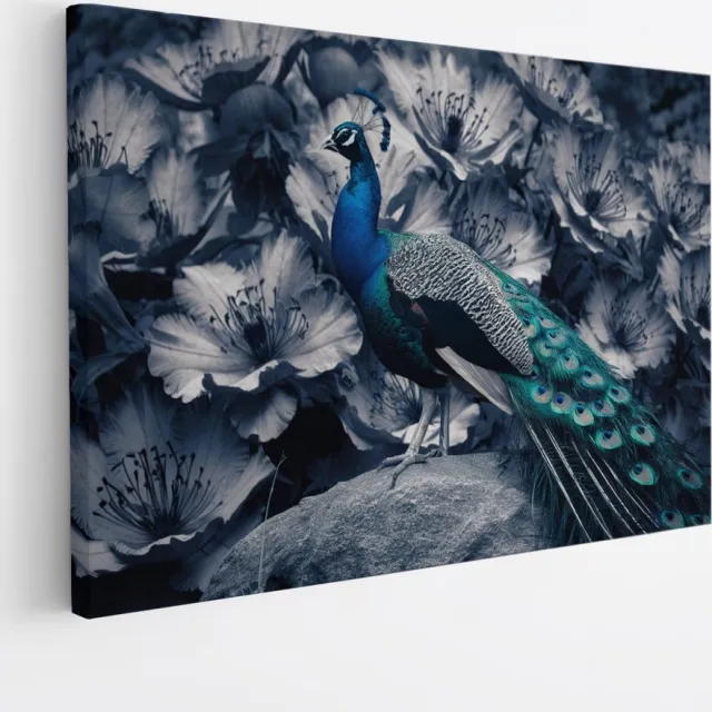 Saammp Canvas Schilderij - Pauw - Zwart-Wit - Dieren - Bloemen - 45x30 - Foto op canvas - Wanddecoratie - muurdecoratie Woonkamer - Slaapkamer decoratie - Canvas Print Multicolor