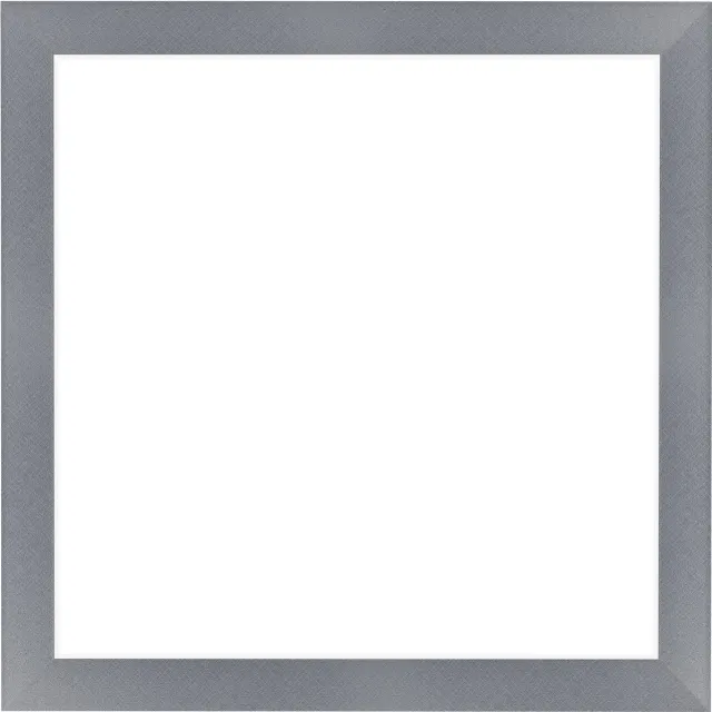 Dutch Frame Factory Fotolijst 45x45 cm - MDF - Aluminium Geborsteld - Colonia