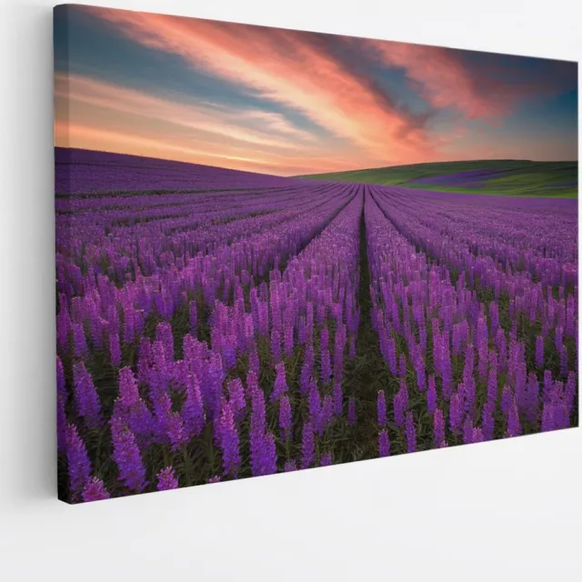 Saammp Canvas Schilderij - Lavendelveld - Natuur - Landschap - 120x80 - Foto op canvas - Wanddecoratie - Muurdecoratie Woonkamer - Slaapkamer decoratie - Canvas Print Multicolor