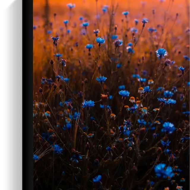 KuijsFotoprint Canvas - Blauwe Bloemetjesstruik - 30x40cm Foto op Canvas Schilderij (Wanddecoratie op Canvas)