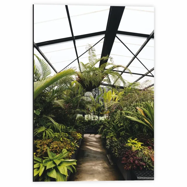 KuijsFotoprint Dibond - Planten in Glazen Gebouw - 40x60cm Foto op Aluminium (Met Ophangsysteem) Groen