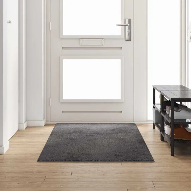 vidaXL Tapijt Loper Grijs 100 x 250 cm 100% Polypropylene Tuft, foto 2