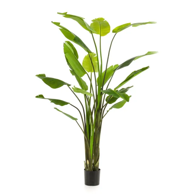 Emerald Kunstplant Strelitzia Nicolai 235cm - Kunstplant voor binnen groen