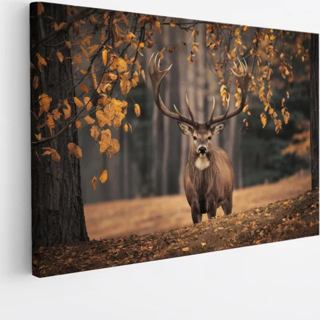 Saammp Canvas Schilderij - Hert in de wei tijdens de herfst tijden - Natuur - Dieren - 30x20 - Foto op canvas - Wanddecoratie - Muurdecoratie Woonkamer - Slaapkamer decoratie - Canvas Print Multicolor