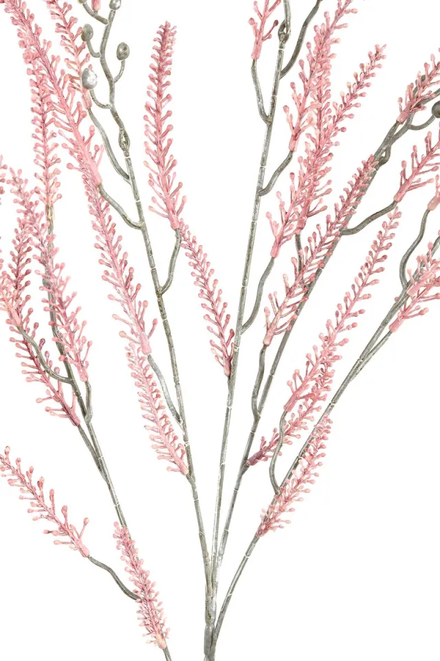 PTMD COLLECTION Leaves Plant roze varen tak