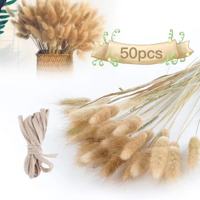 meerklose 50 stuks droogbloemen pampasgras decoratie, gedroogd grote natuur boeket bloemen grassen bloemenboeket pampas decoratie voor bruiloft interieurdecoratie slaapkamer woonkamer beige