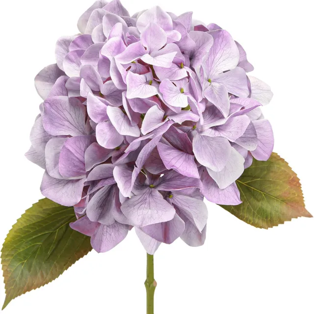 Viana Decoratie Hortensia's Kunstbloemen Paarse Bloesem Ø18cm 69cm 2st