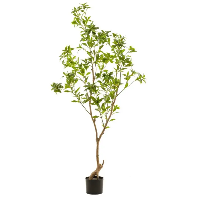 Emerald Tea leaf tree 185 cm kunstplant Emerald groen