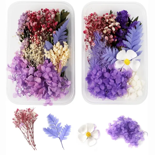 Famanu Set van 2 natuurlijke gedroogde bloemen voor kunst en knutselen