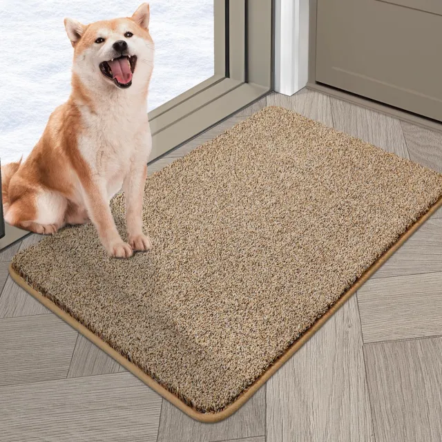 Ibenzoa Zachte en Absorberende Deurmat van Polyester, 50 x 80 cm, Beige, Voor Elke Ingang