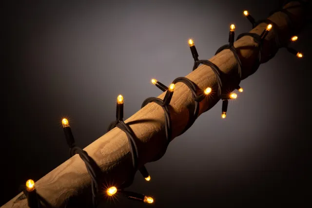Blynx Kerstverlichting Buiten - 10 Meter - 100 LED Lampjes - Klassiek Warm Wit - Twinkle - Lichtsnoer - Zwart Snoer - IP67 - Koppelbaar tot 100m - Inclusief Startkabel