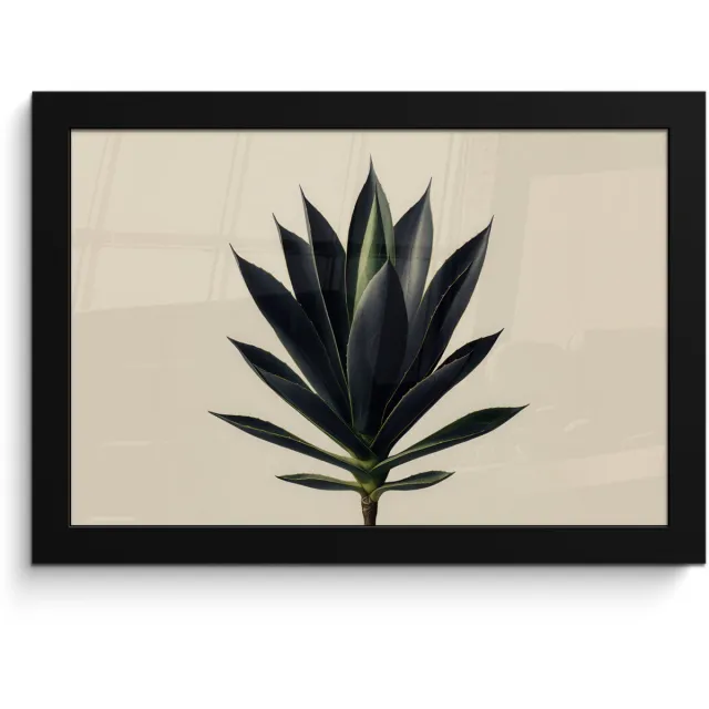 FrameYourWall Poster in lijst - Fotolijst 30x20 cm - Posters - Agaveplant - Symmetrisch - Groen - Posterlijst zwart - Decoratie - Wanddecoratie woonkamer - Muurdecoratie slaapkamer