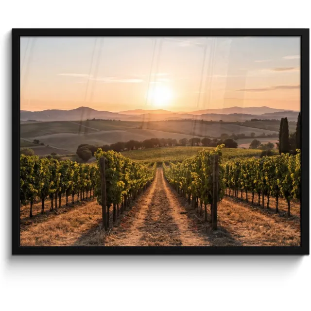 FrameYourWall Poster in lijst - Fotolijst 70x50 cm - Posters - Wijngaard - Zonsondergang - Landschap - Posterlijst zwart - Decoratie - Wanddecoratie woonkamer - Muurdecoratie slaapkamer