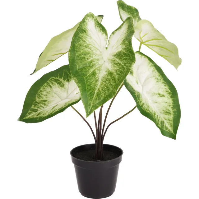 maxifleur Kunstplanten Caladium Aron kunstplant 45cm in kweekpot Groen