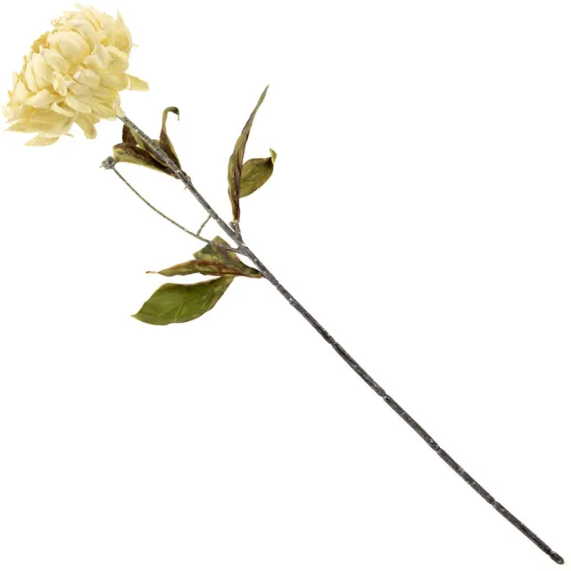 homebound by ky Kunstbloem gedroogde pioen 65cm creme Beige