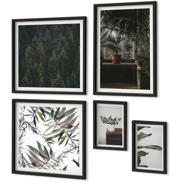 Coloray 5-Delige Schilderij Set - Plantenmotieven En Natuurlijke Accenten In De Groene Oase - 50 x 50 cm, 20 x 30 cm En 40 x 60 cm - Stijlvolle Wanddecoratie - Interieur - Moderne Wanddecoratie Zwarte lijst