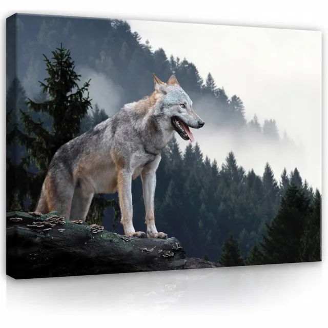 WALLARENA Canvas schilderij - 120x80 cm - afbeelding van een wolf in de bergen met mist multikleurig