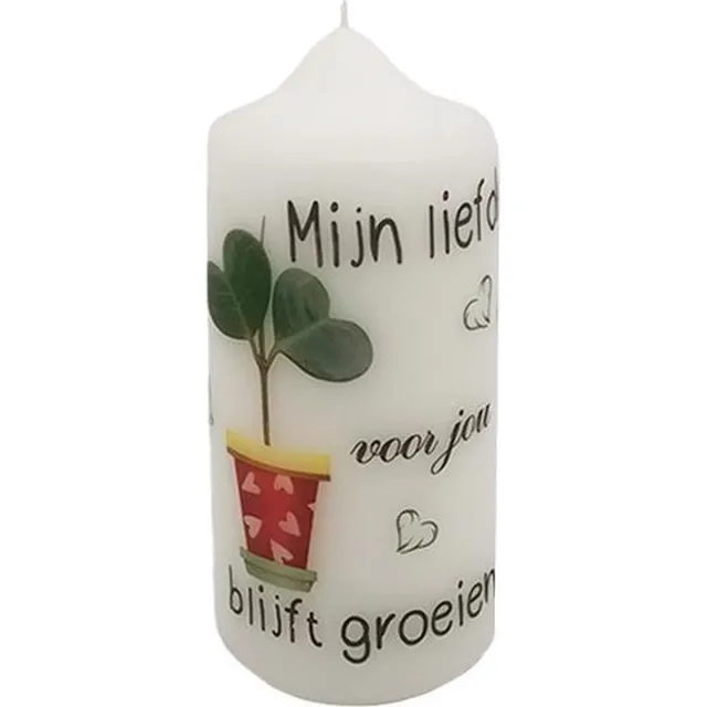 Van Licht Romantische kaars, Groeiende Liefde wit