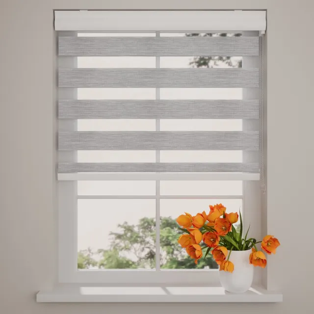 DTCH Duo Rolgordijn Splendid Fiber - Lichtdoorlatend - Grey - 170 x 175