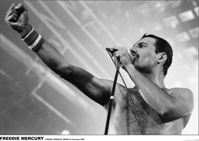 Queen Freddie Mercury - Wembley Arena, London 1984 Unisex Poster - meerkleurig - Standard multicolor