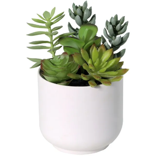 Trendyplants Kunst Succulent Including White Pot - Vetplant - Kunstplant - Hoogte 19cm - Potmaat Ø13cm Groen